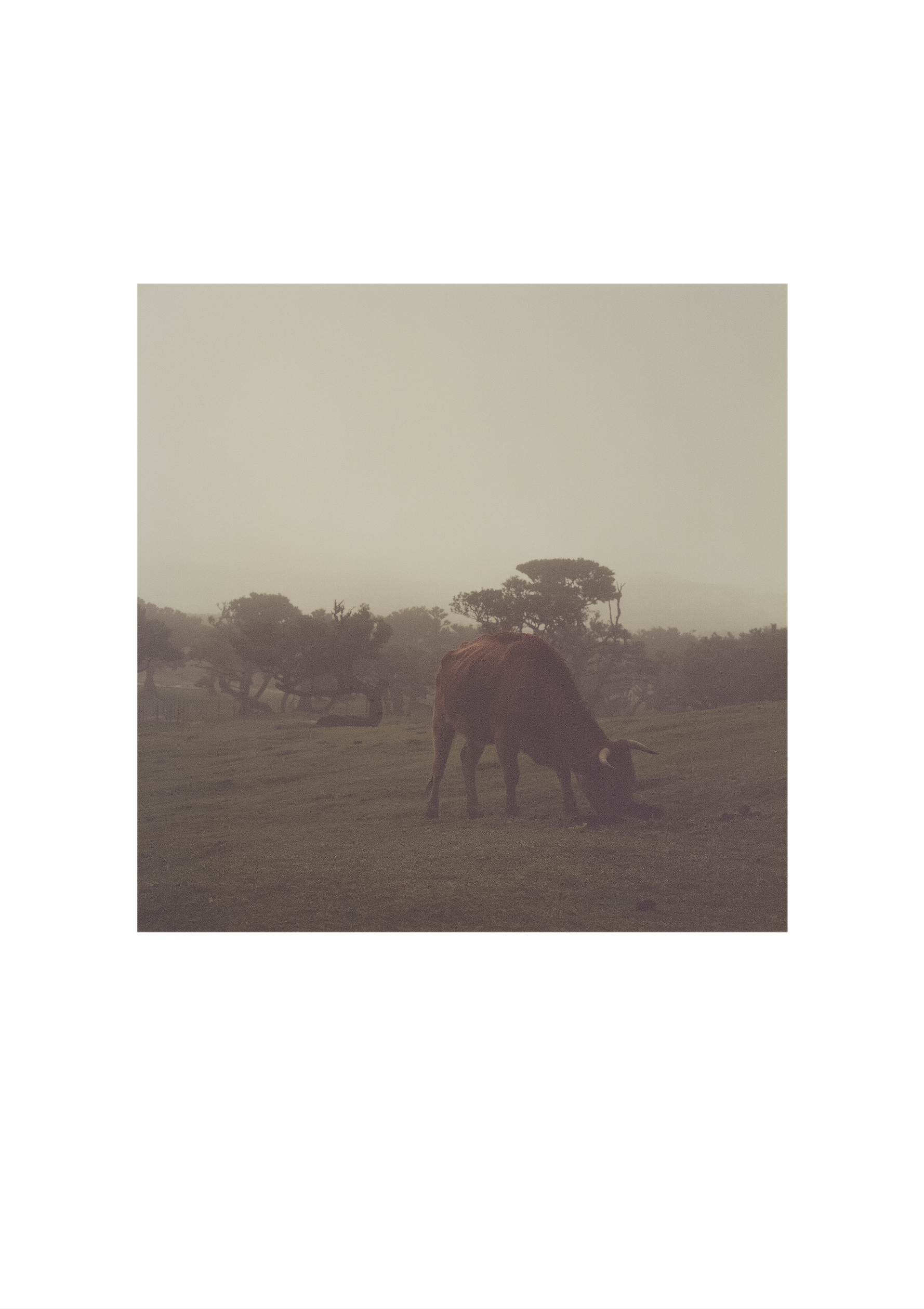 Снимок экрана 2026-03-25 в 00.14.43.png