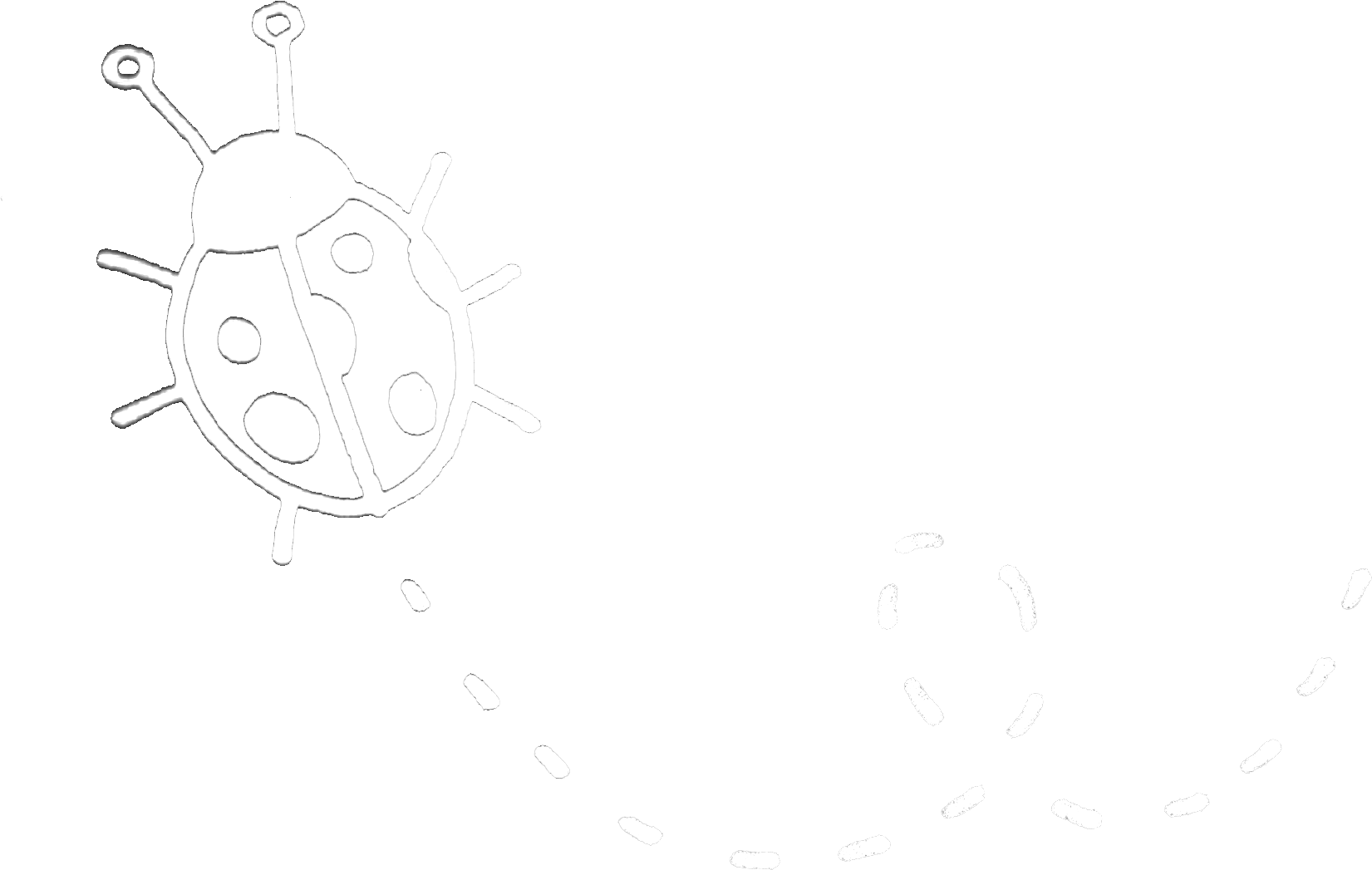 Ladybug.png
