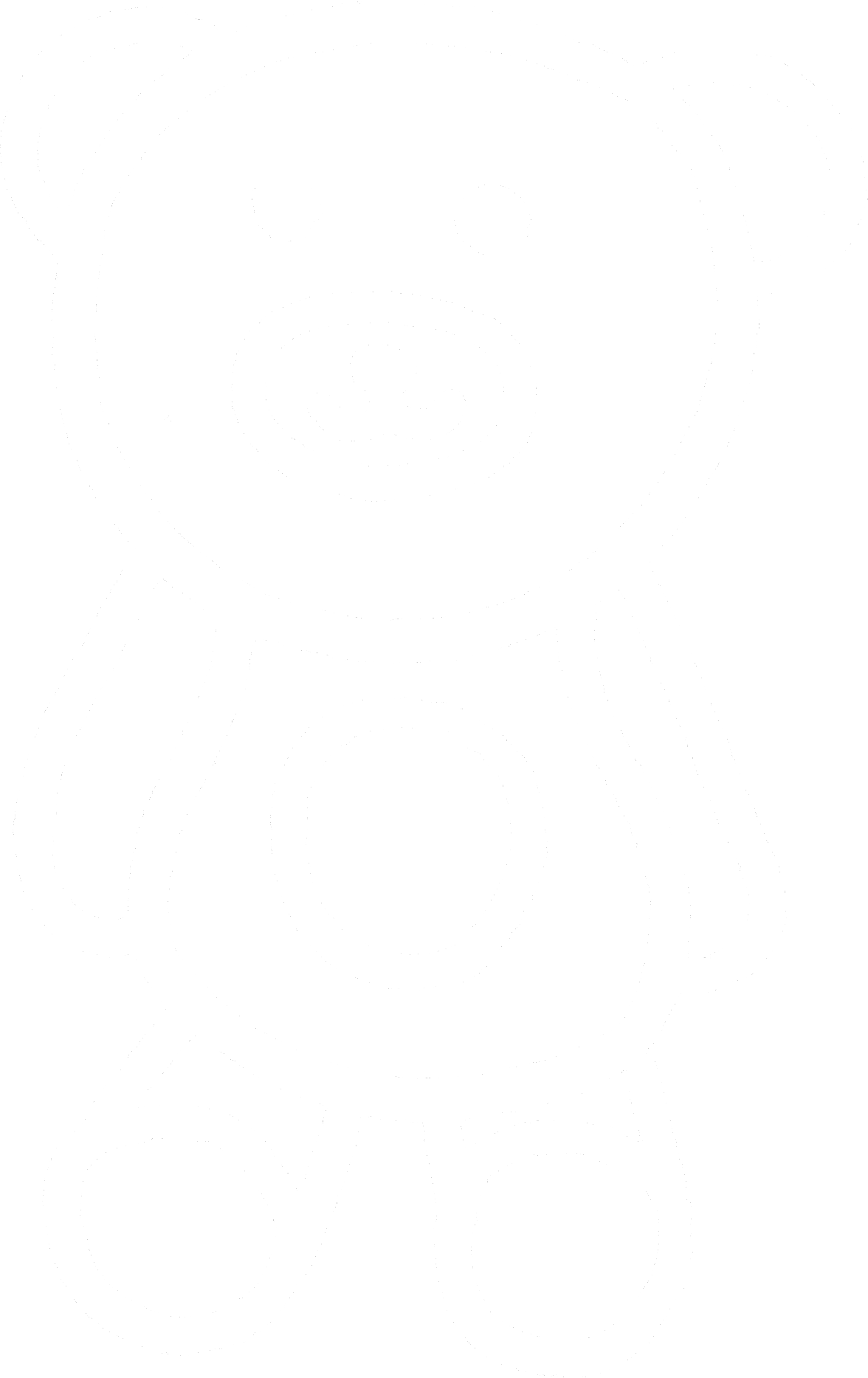 Tebby Bear.png
