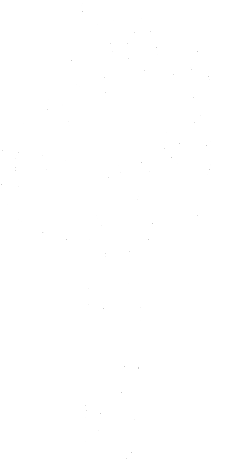 On Fuego.png