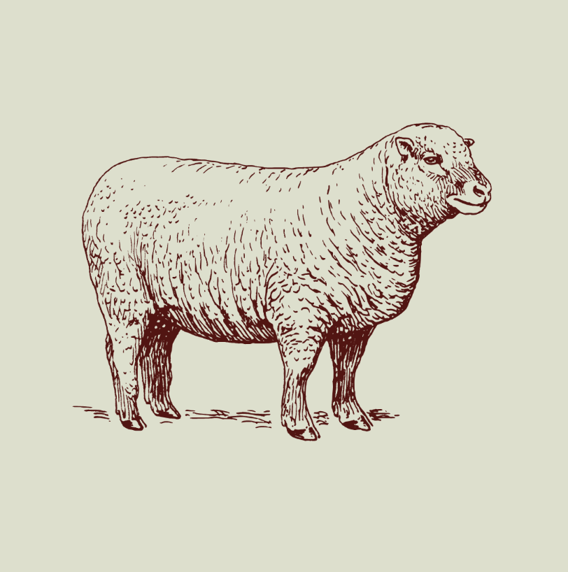 Ulster County Fiber &amp; Cider Tour