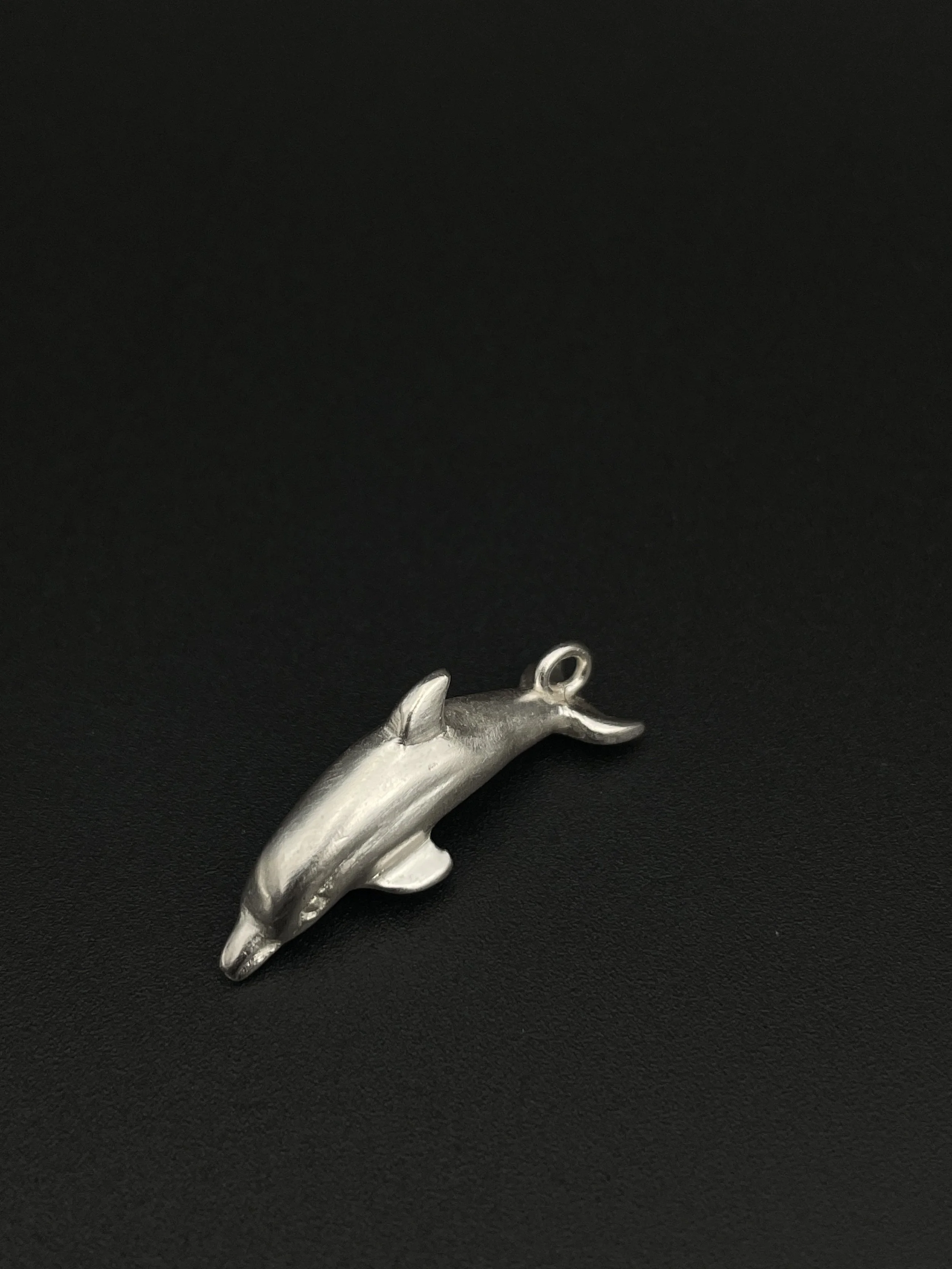 CCBMeadorsDolphin.JPG