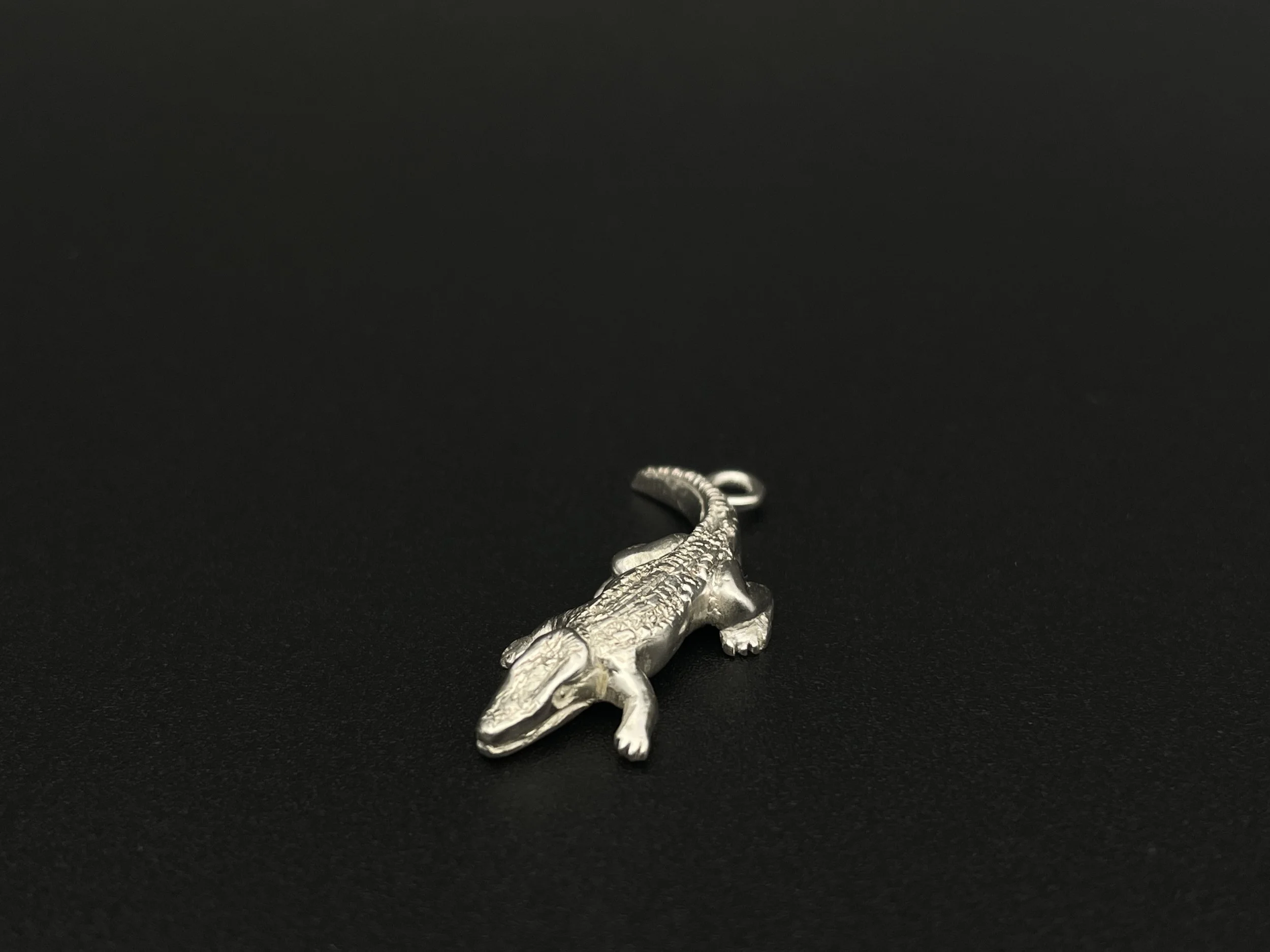 Alligator - Charleston Charms