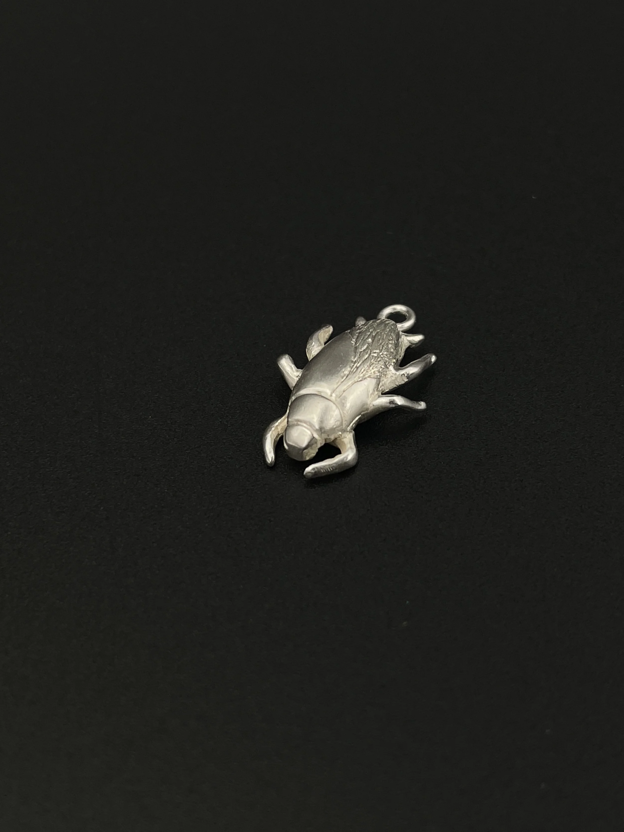 Palmetto Bug - Charleston Charms