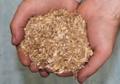 Bedding