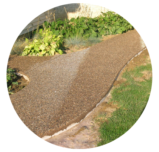 A curved concrete pathway in a garden with green plants and grass.