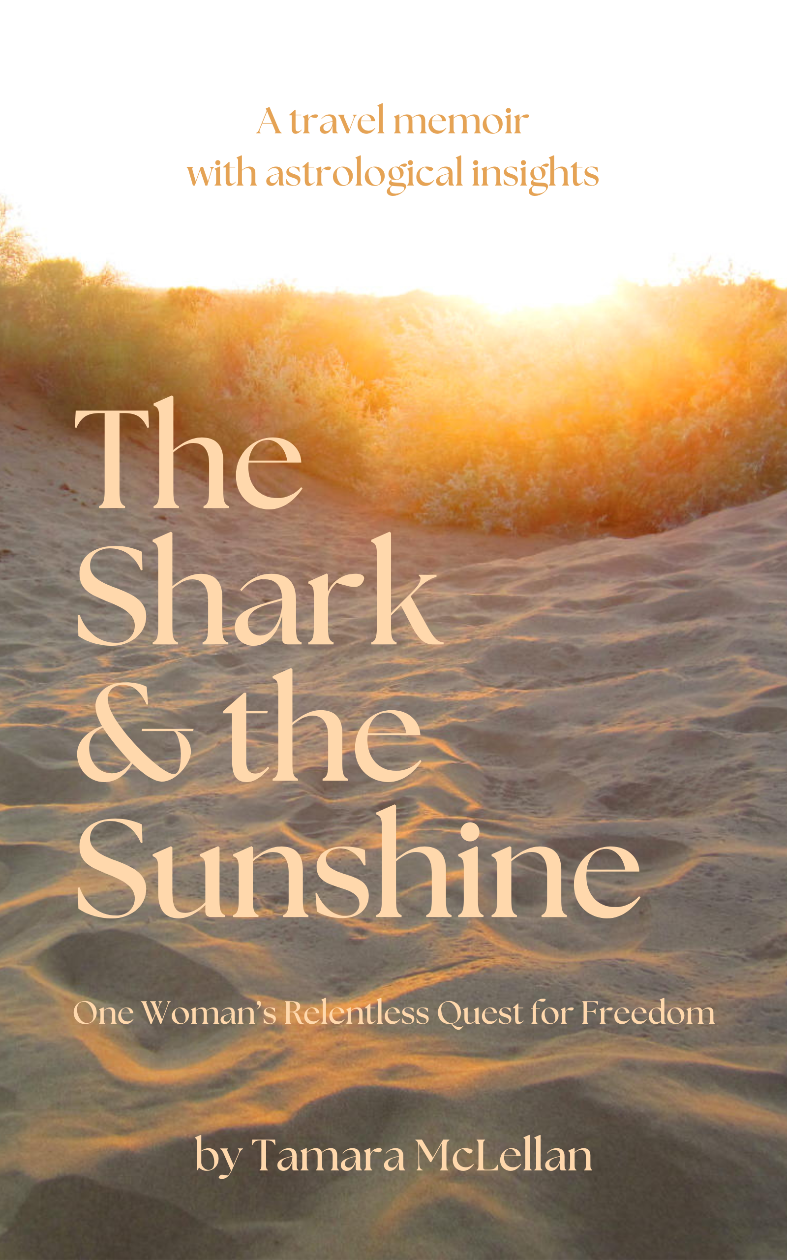 Cover of a book titled 'The Shark & the Sunshine' with a background of a sandy beach and a bright sunset or sunrise sky.