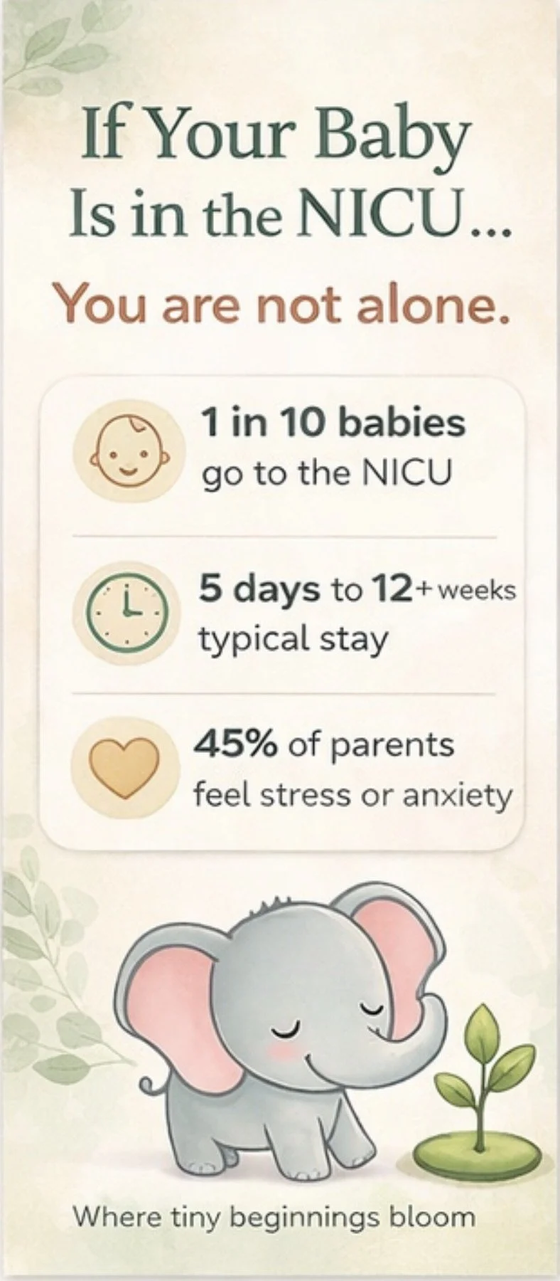 💚 NICU by the Numbers: What U.S. Families Should Know