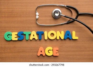 Gestational Age, Fetal Development &amp; Due Dates: Everything You Need to Know