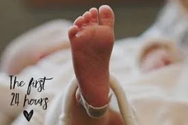 The First 24 Hours: A NICU Nurse’s Guide to Survival