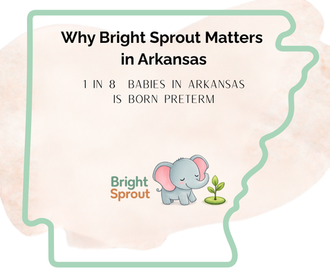 Why Bright Sprout Matters in Arkansas