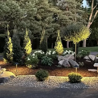 A landscaped garden with evergreen trees, flowering bushes, and rocks, illuminated by outdoor lighting at dusk.