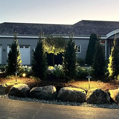 A landscaped front yard at dusk with tall evergreen trees, large rocks along the edge, and landscape lighting illuminating the trees and shrubs.