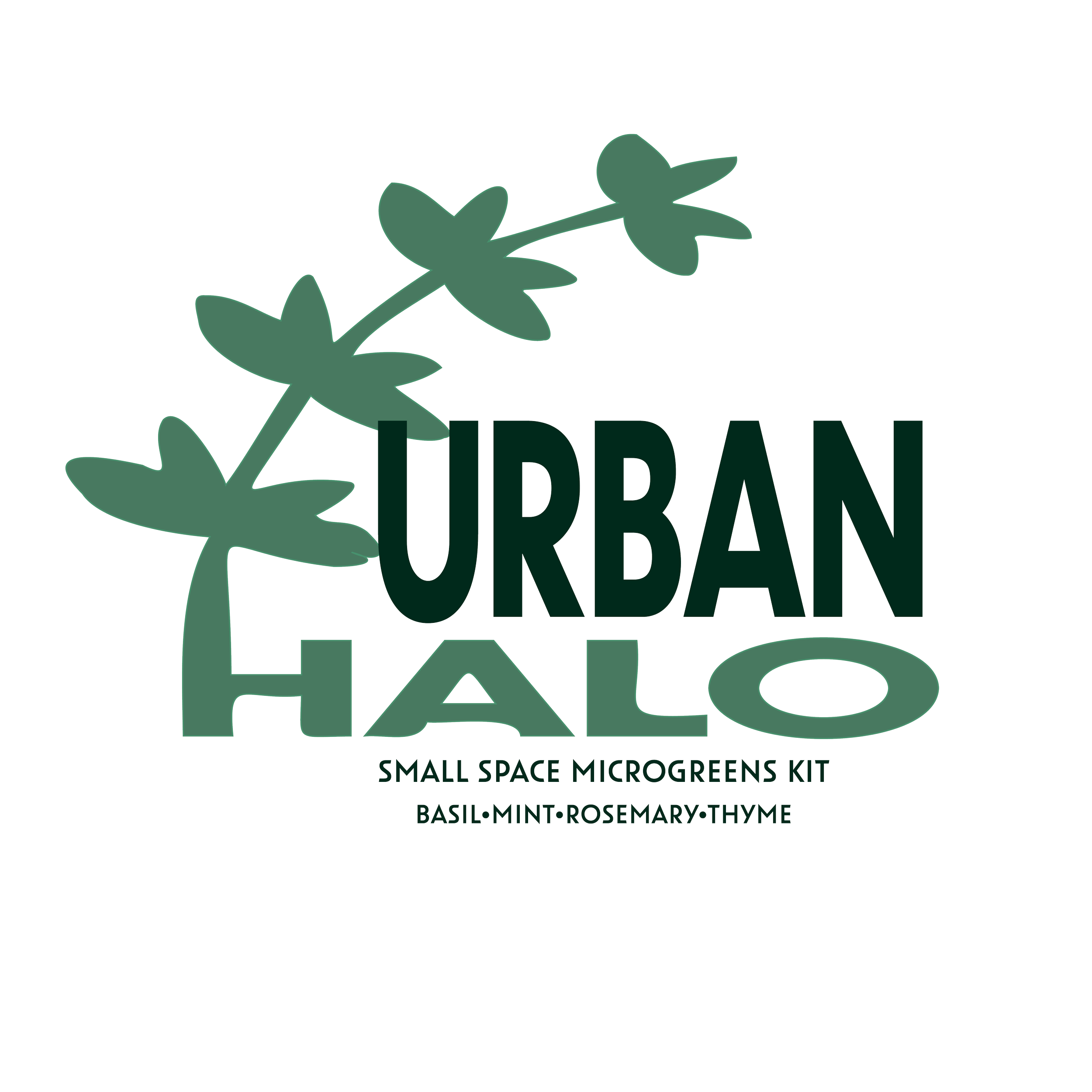 Logo for a microgreens kit featuring green leafy herbs Basil, Mint, Rosemary, and Thyme.