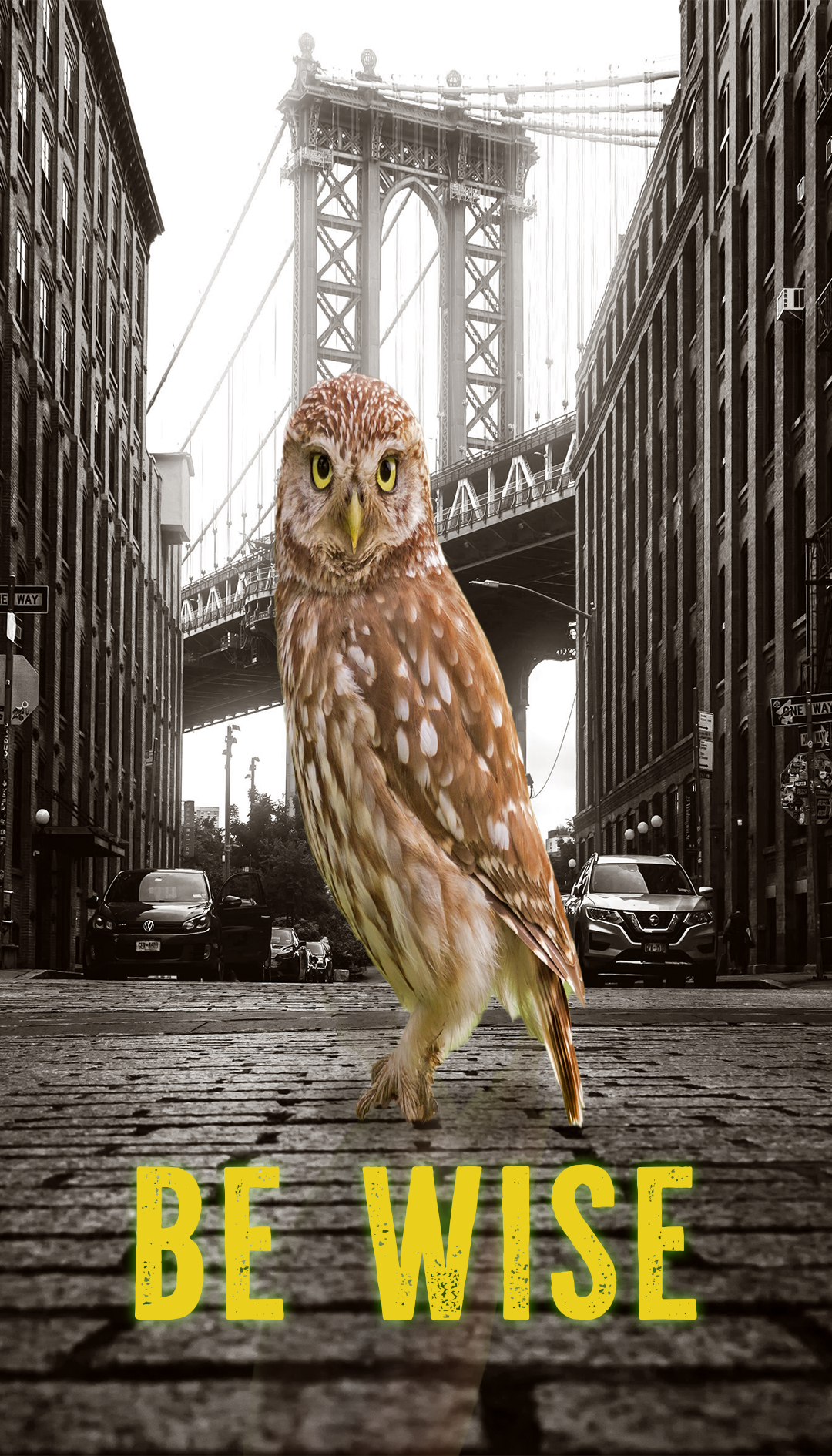 A digitally edited black and white photo of an urban street scene with cars, buildings, and a bridge, featuring a large, colorful owl in the center with the words 'BE WISE' in yellow at the bottom.