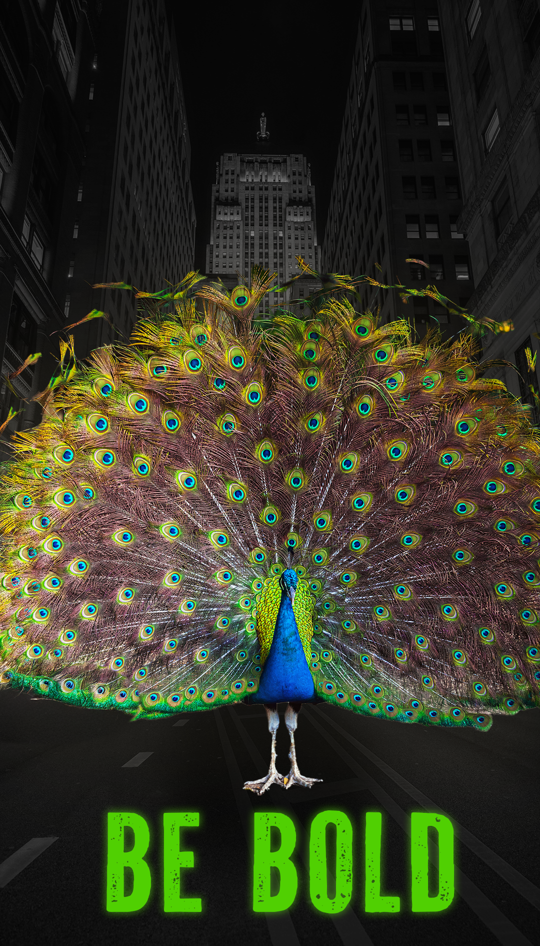 A peacock with its feathers spread wide stands in the middle of a city street at night, with tall buildings in the background and the words 'BE BOLD' glowing in green at the bottom.