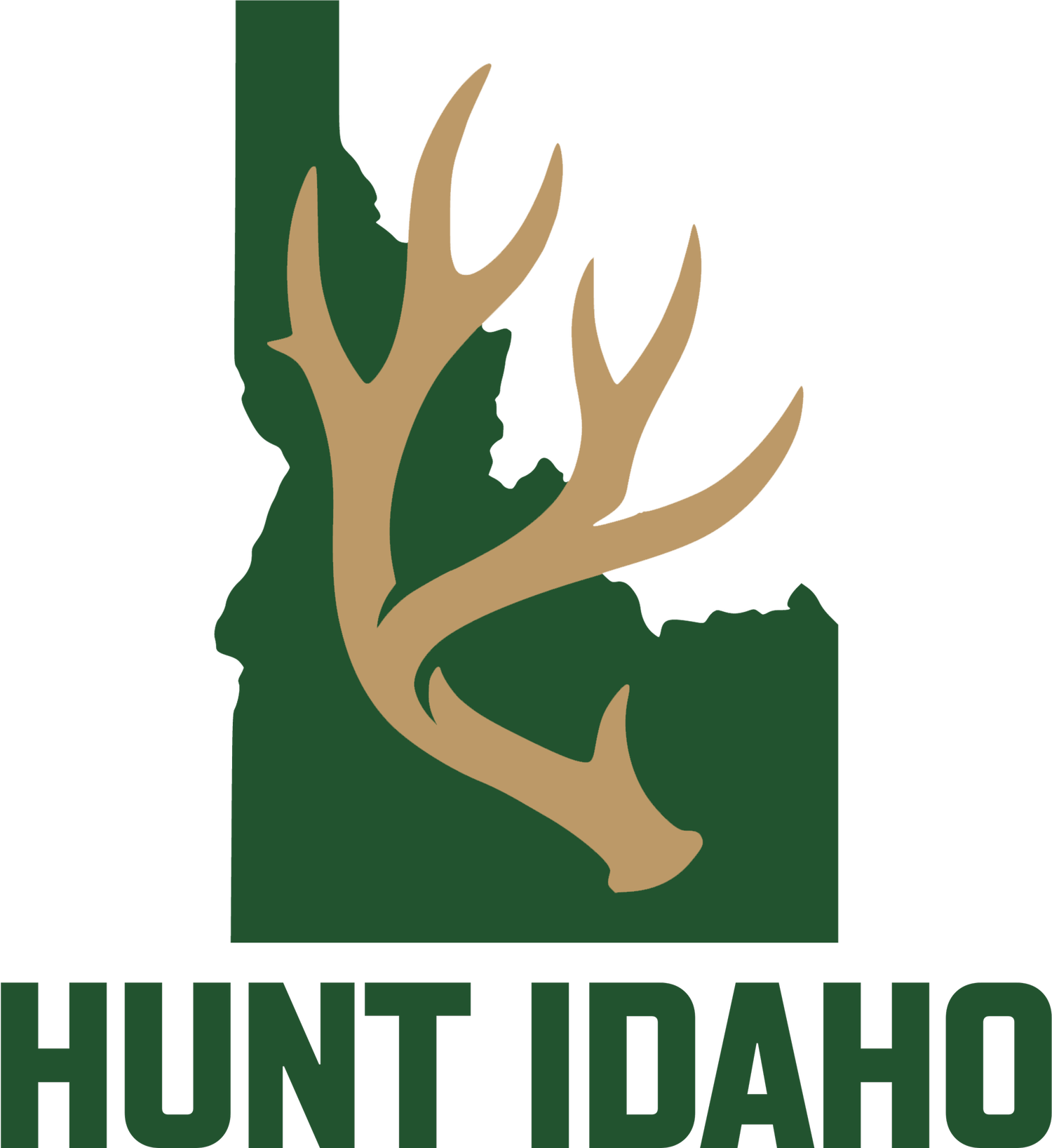 Scout Idaho 39 