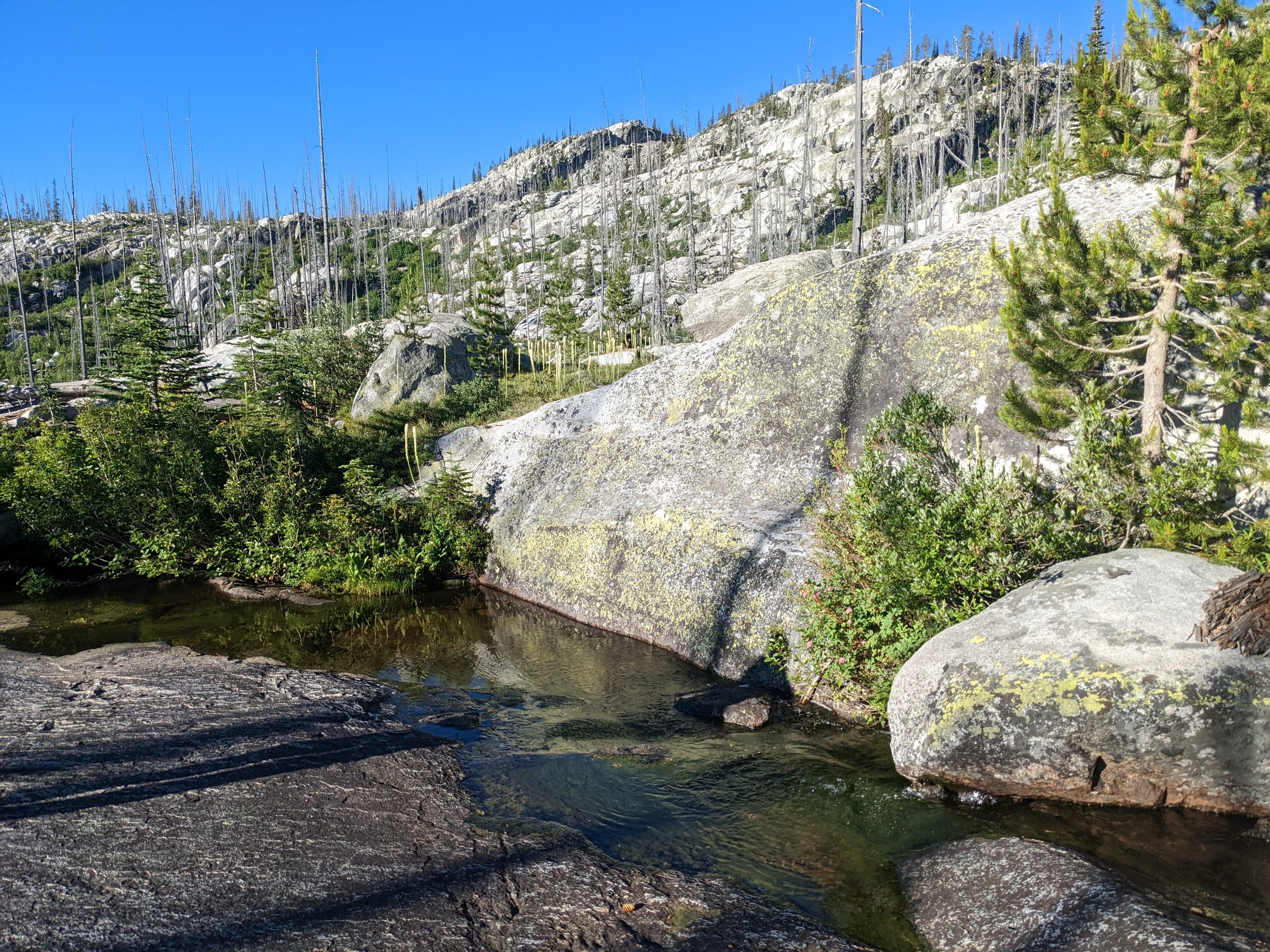 A mountain landscape with large rocks, small trees, and a flowing creek, under a clear blue sky.