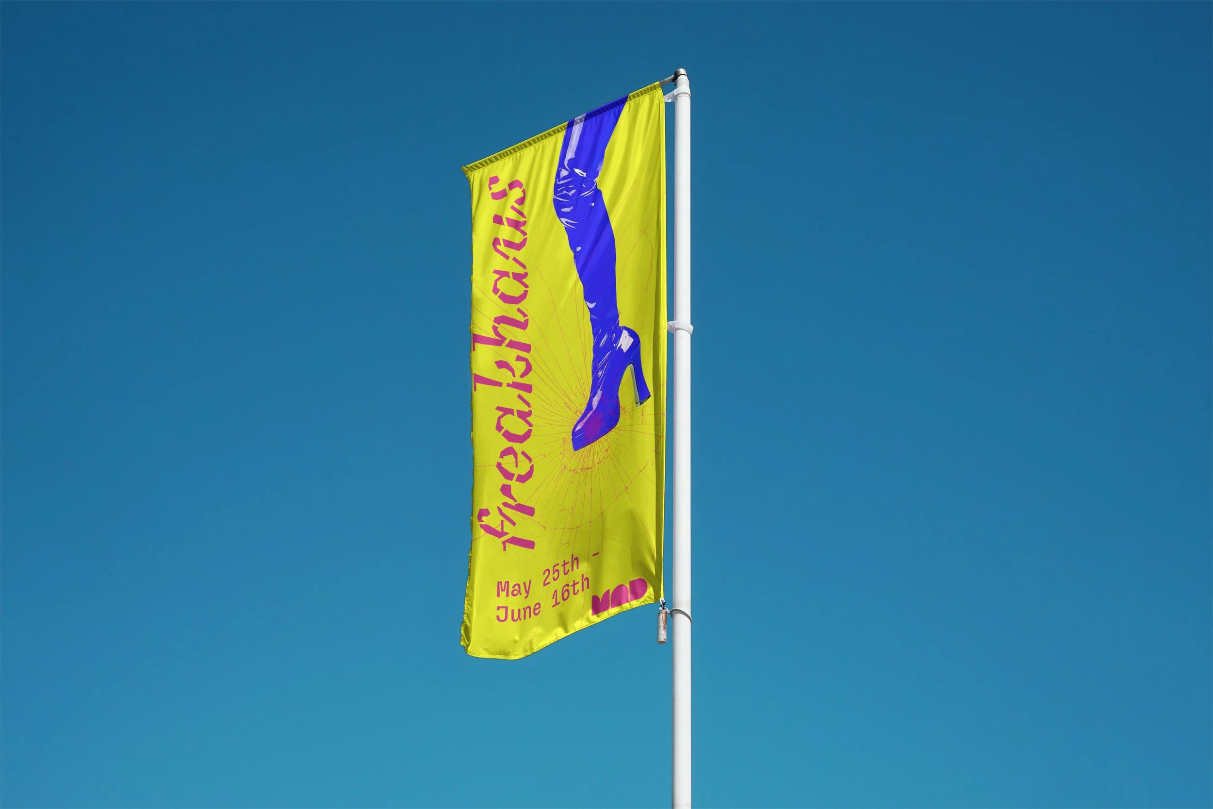 museum flag.jpg