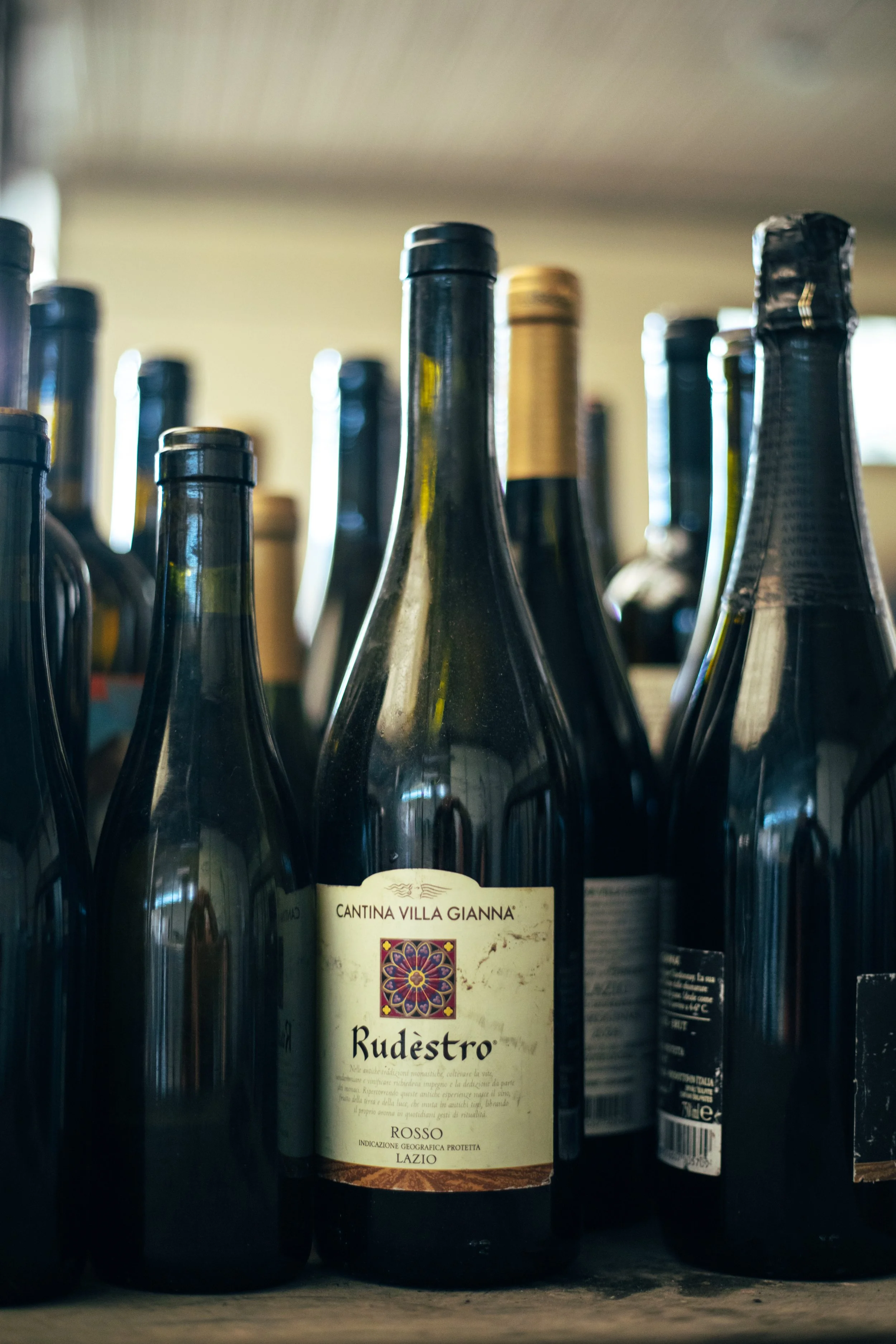Several dark glass bottles of red wine with labels, one prominent bottle labeled 'Cantina Villa Gianna Rudestro Rosso Lazio' on a shelf.