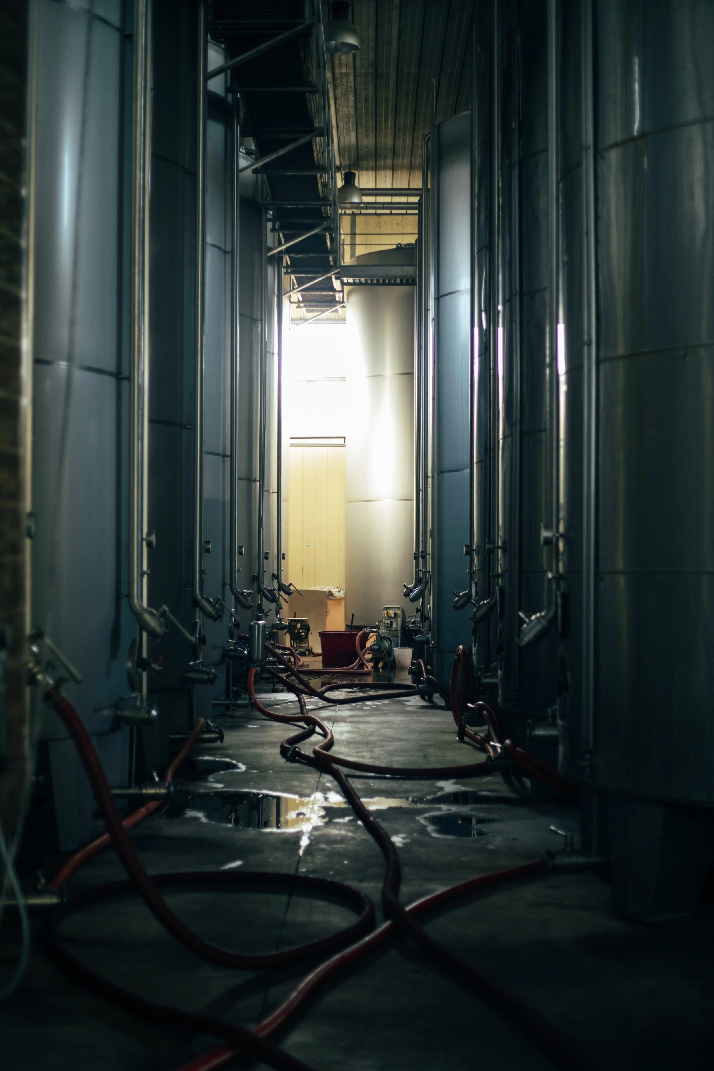 Industrial setting with large stainless steel tanks and red hoses on the ground, likely an equipment room in a brewery or winery.