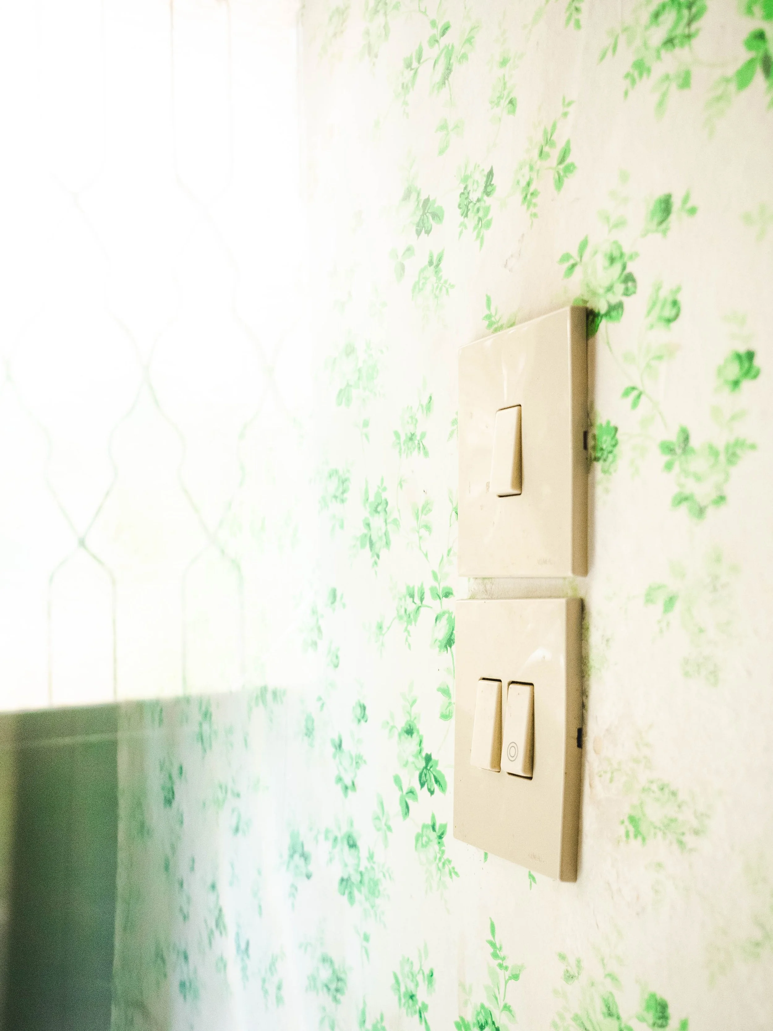 Close-up of two beige light switches on a wall with green floral wallpaper.