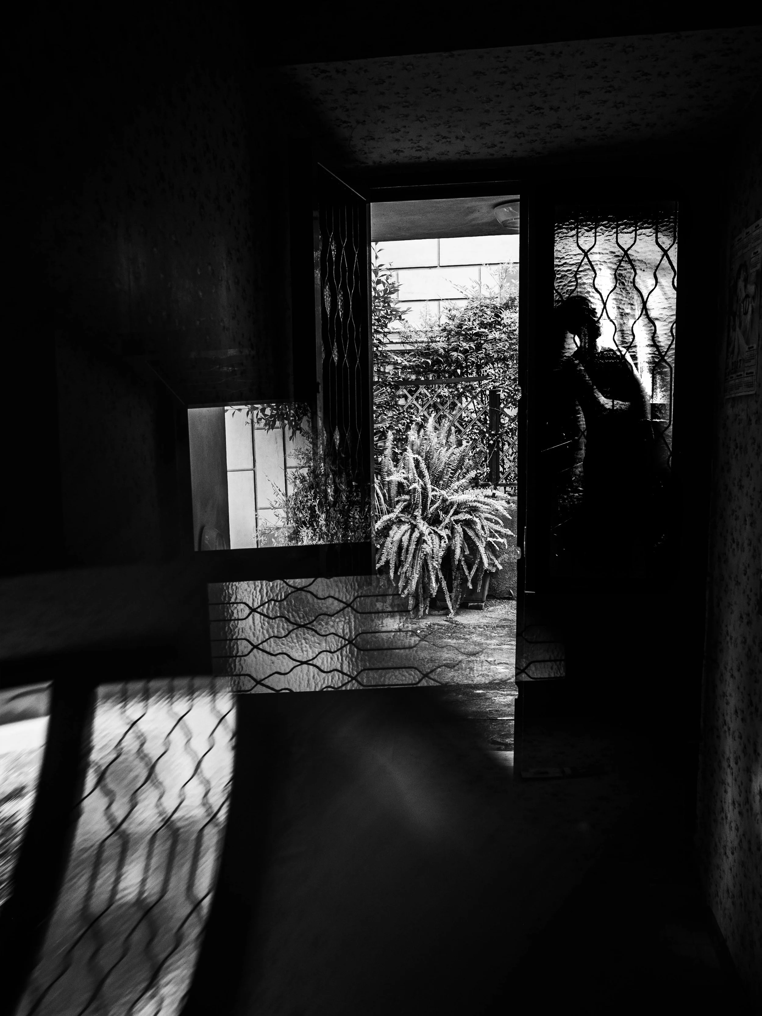 Silhouette of a person standing near a door with a grill, looking outside at a potted plant and garden area