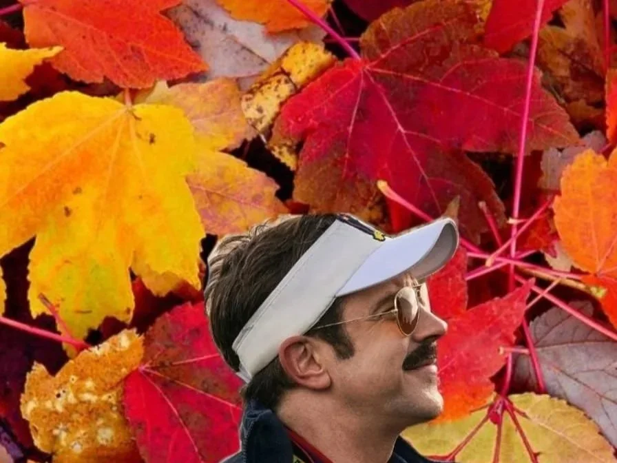 Ted Lasso c’est une série. J'ai plein de trucs cucul à dire dessus parce qu'en fait je suis une personne très culcul