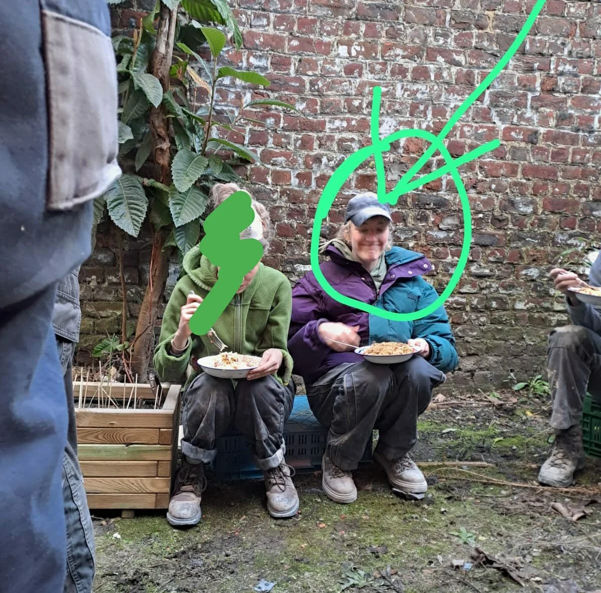 Parmesan - Instantané 