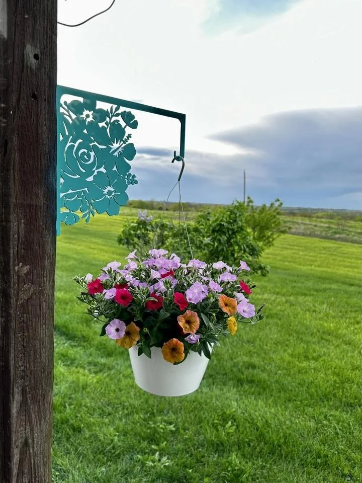 flower.jpg