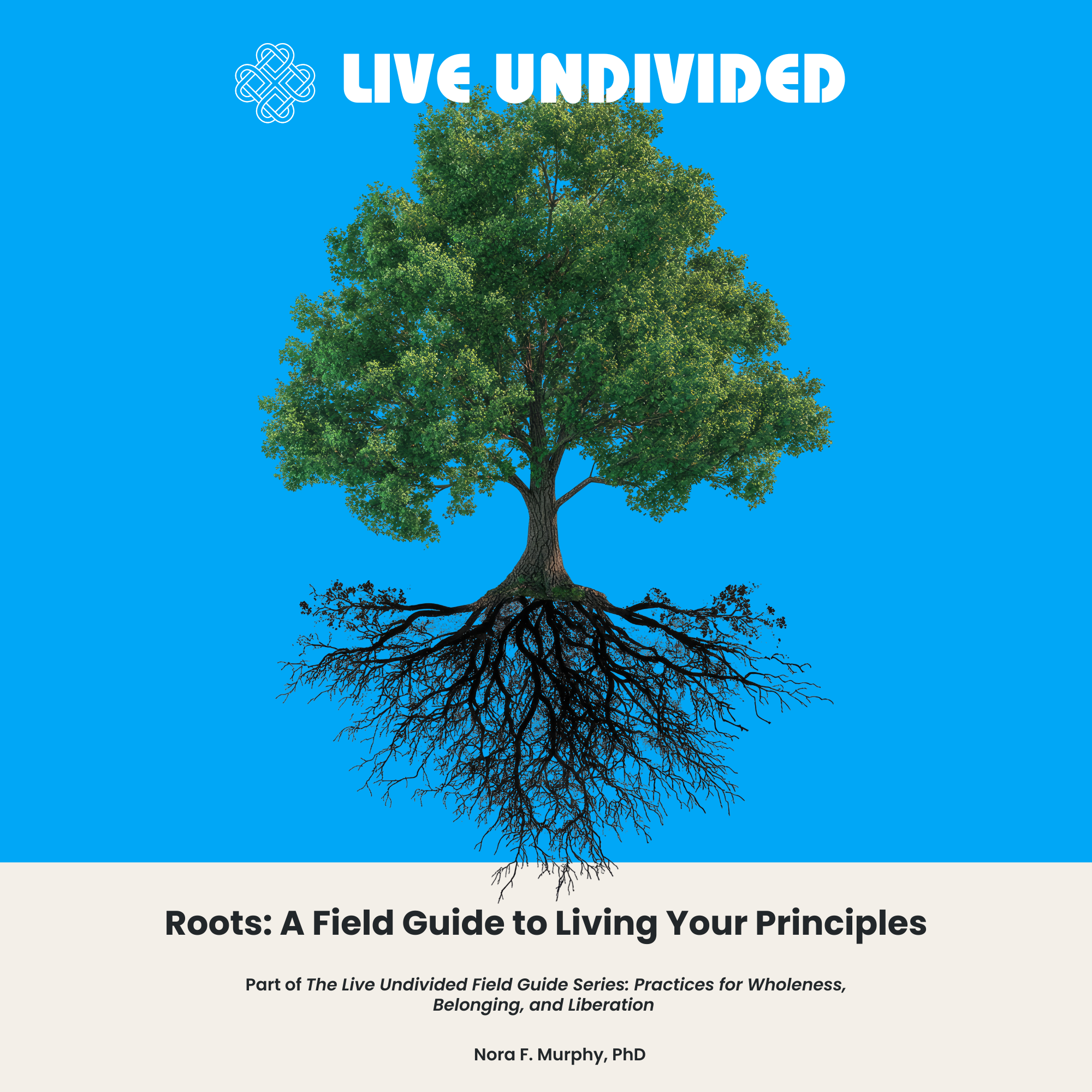 Squarespace Store Thumbnail.png