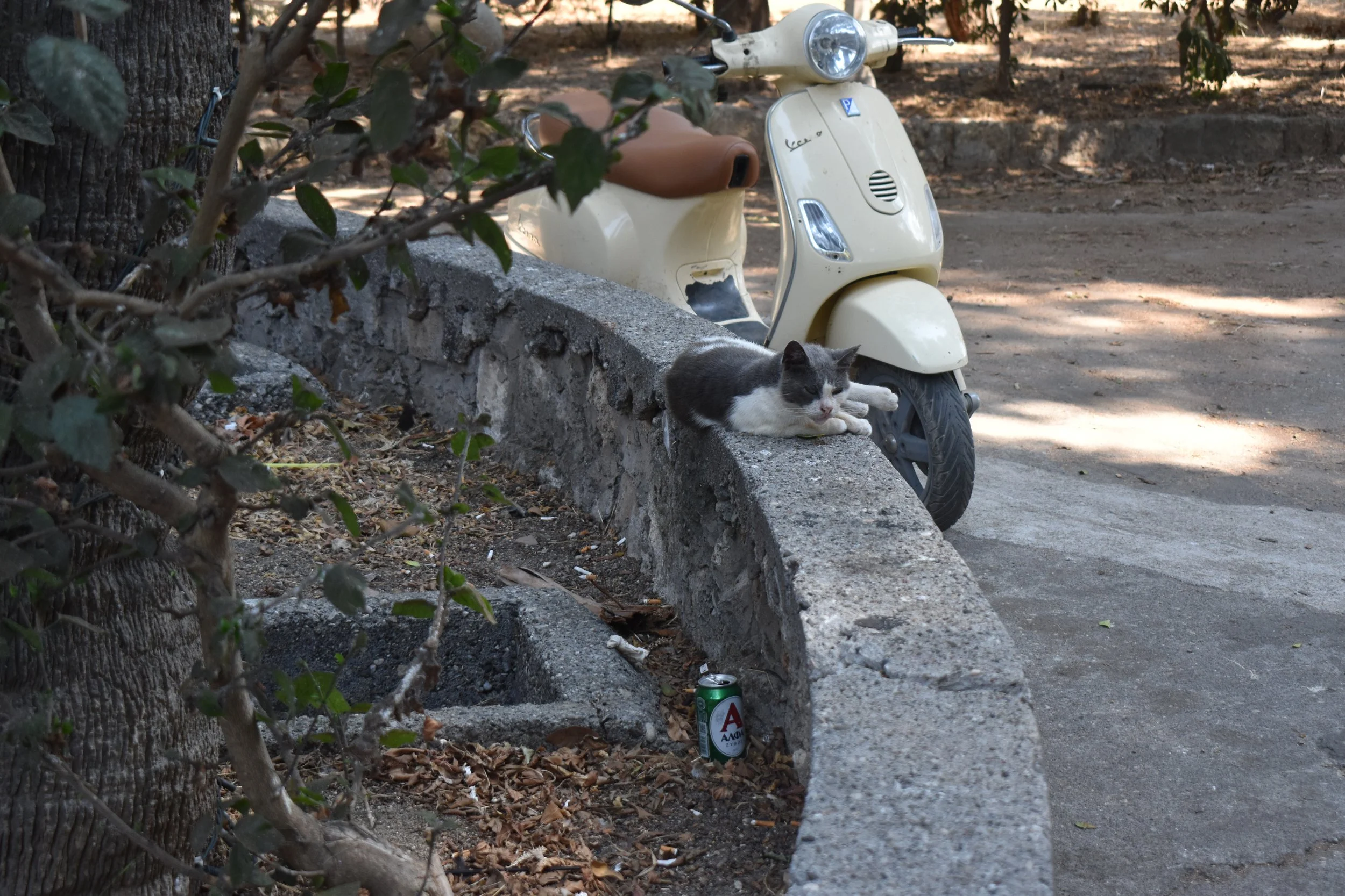 DSC_0118.JPG