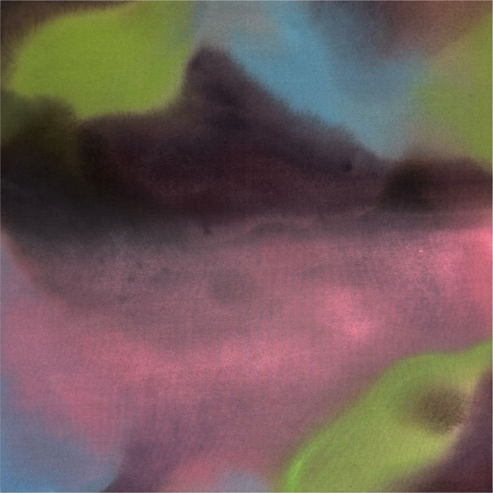 IMG_6410.PNG