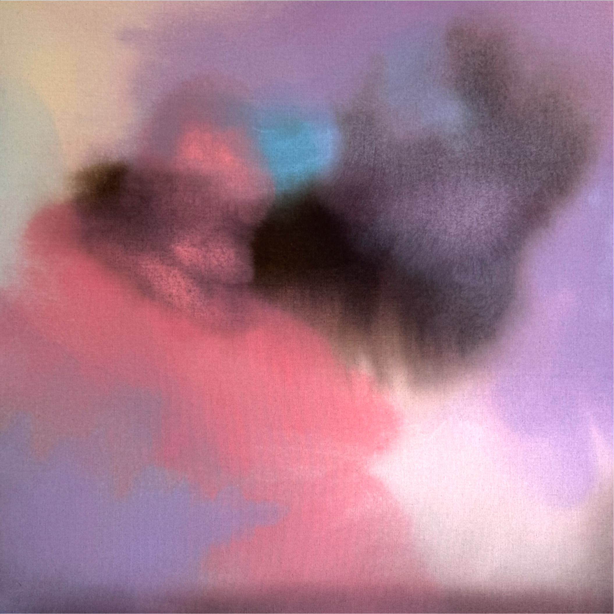 IMG_6435 2.PNG