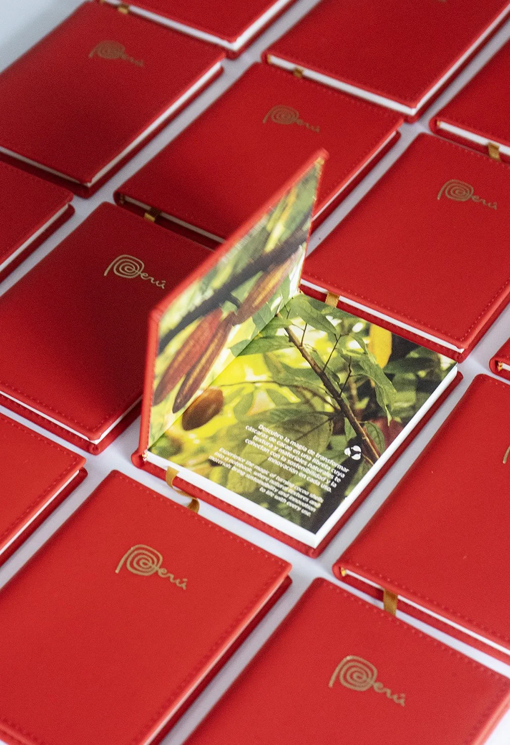 caxacori-studio-merchandising-libreta4.jpg