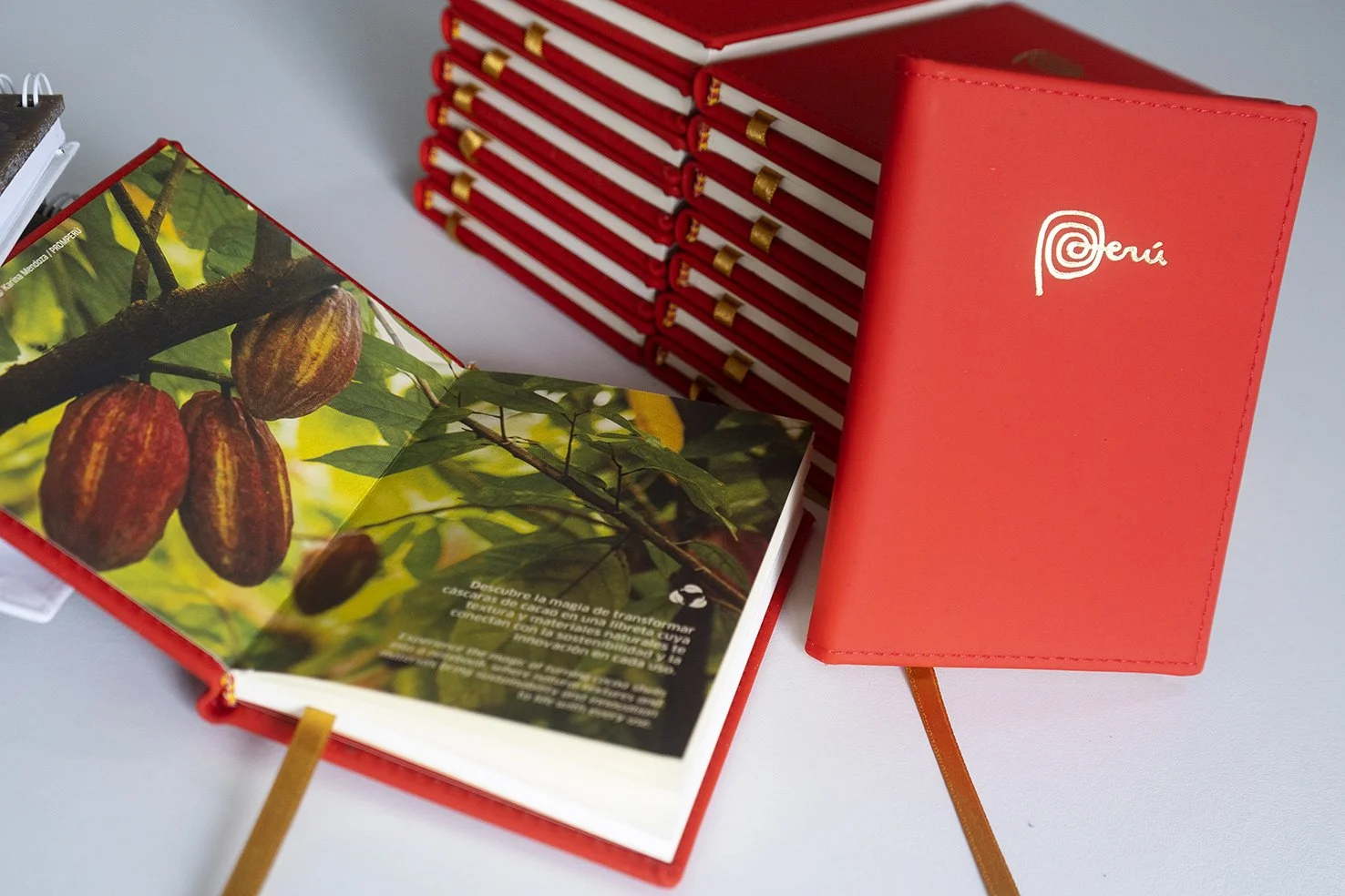 caxacori-studio-merchandising-libreta5.jpg