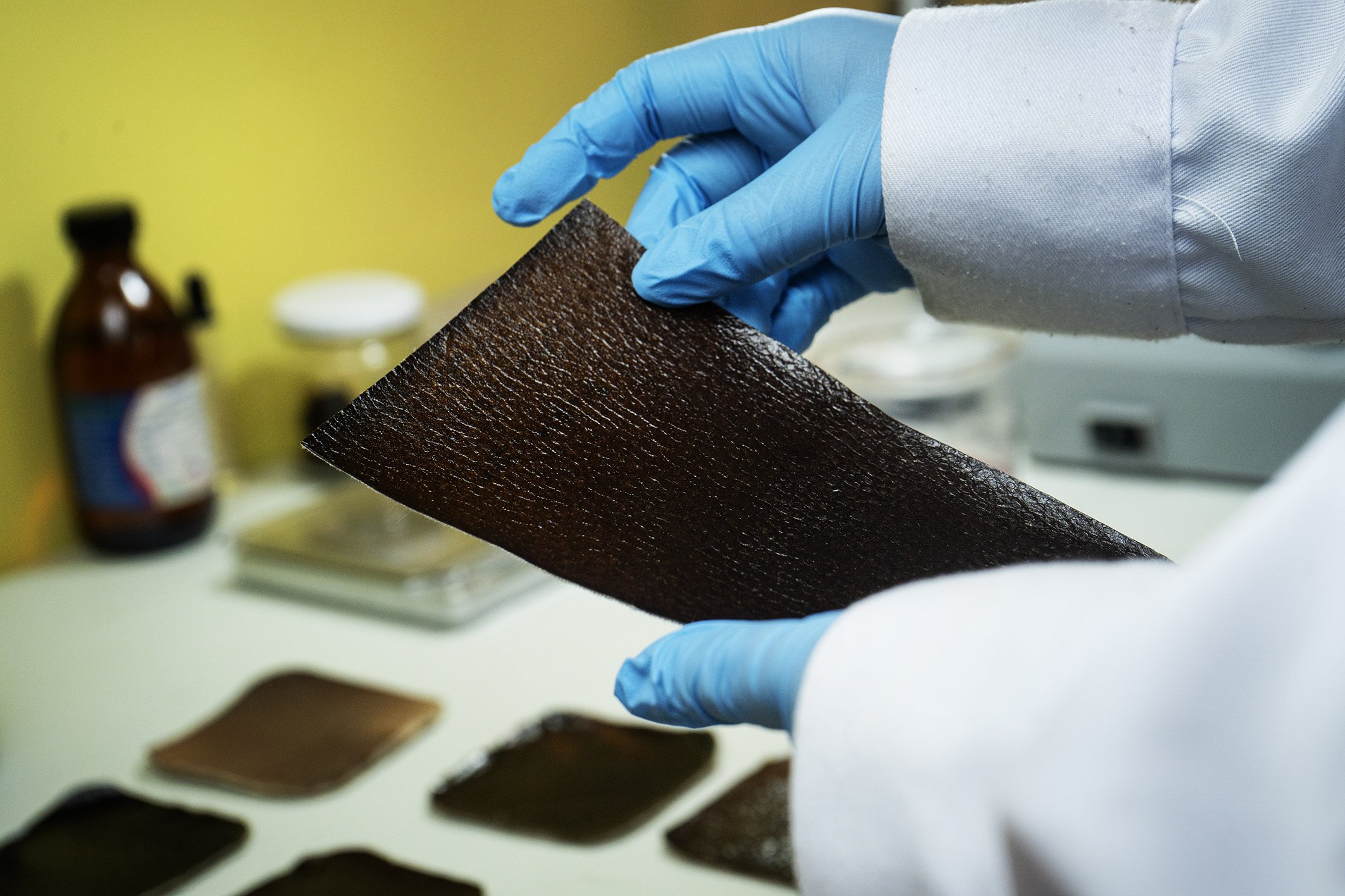 CaxacoriStudio - Biocuero de shiringa 004.jpg