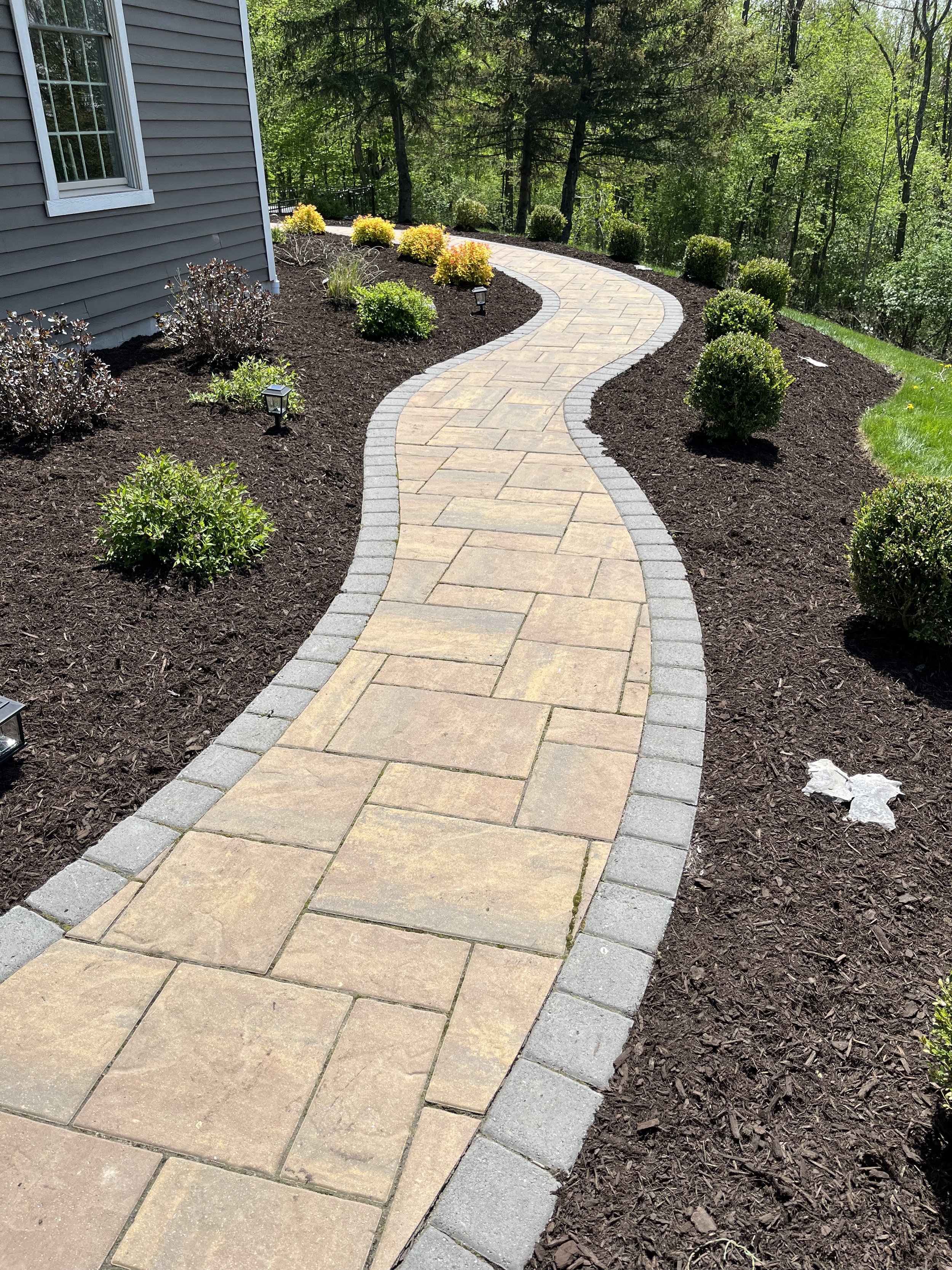 A winding concrete pathway bordered by gray bricks leading away from a house, with well-kept bushes and plants along both sides and surrounded by dark brown mulch, with a wooded area in the background.