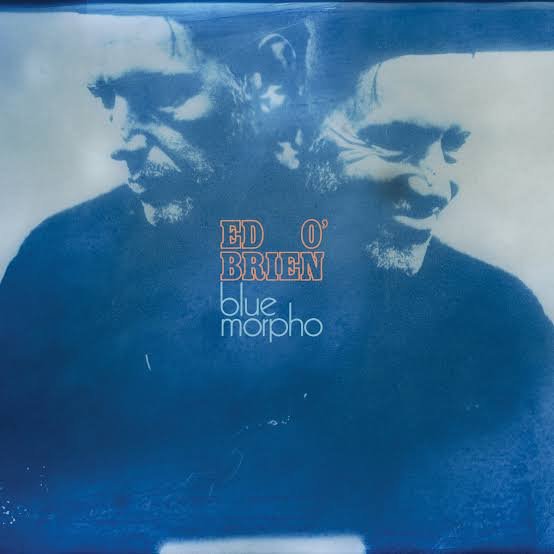 Ed O'Brien / Blue Morpho