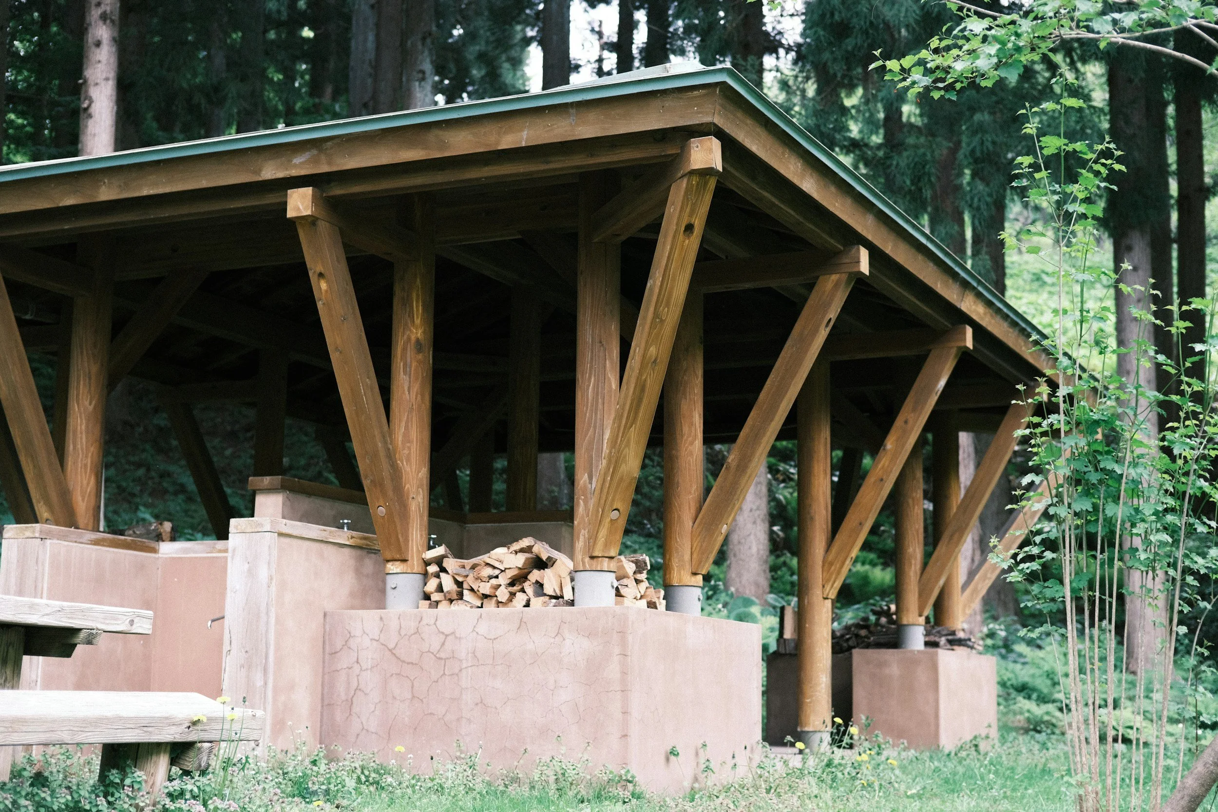 A wooden pavilion in a forested area with supporting beams, a pile of firewood, and green foliage surrounding it.