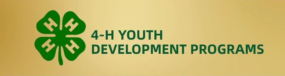 Dustin Adcock, magician and entertainer has performed for 4-H Youth Development.