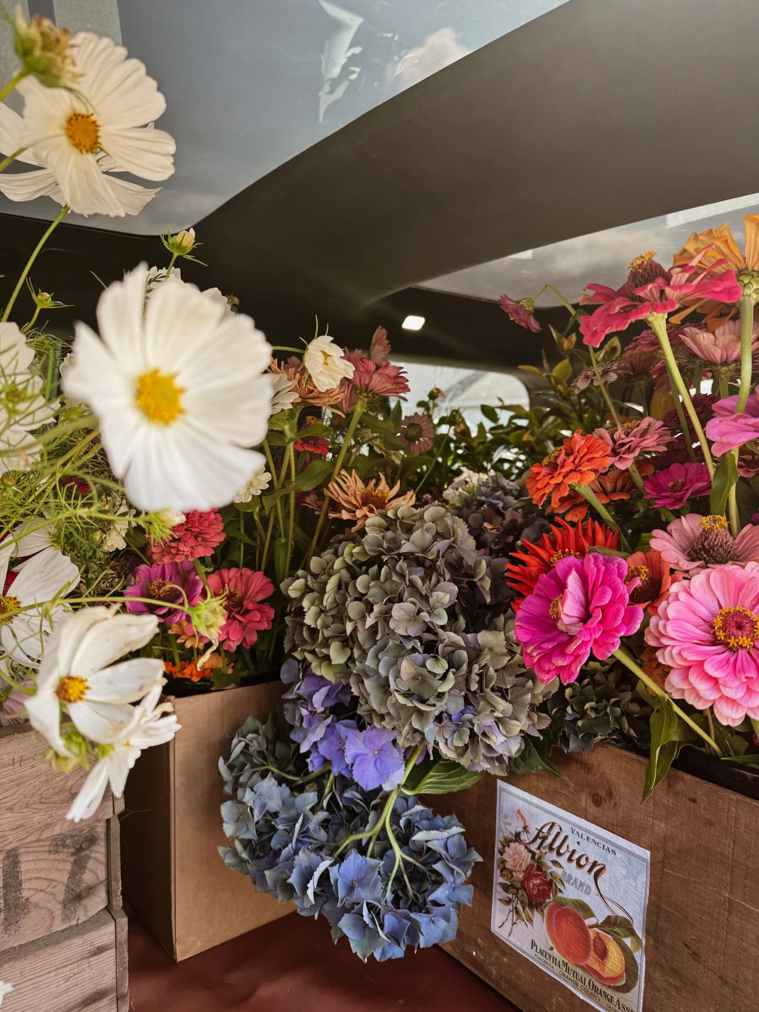 A variety of colorful flowers including white daisies, pink and purple hydrangeas, and pink zinnias in wooden boxes.