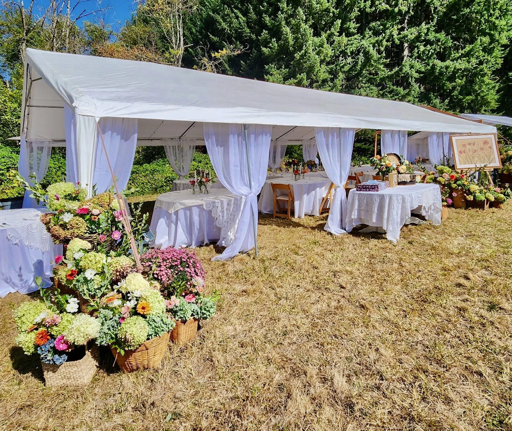 Outdoor event setup with a white canopy tent, decorated with white curtains, and surrounded by floral arrangements in baskets and vases on tables covered with white lace tablecloths.