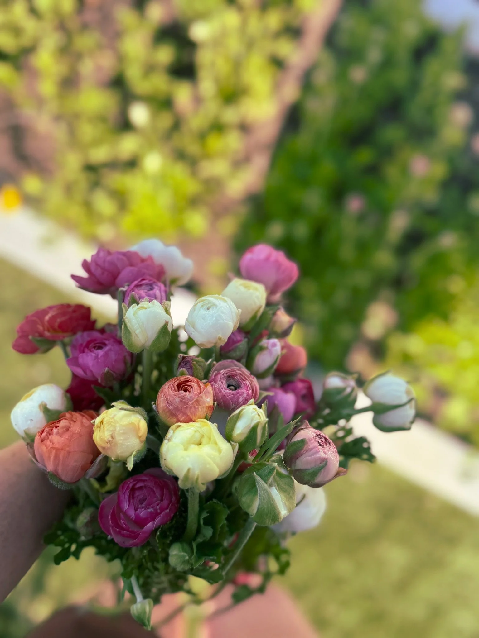 Close-up of a colorful bouquet of small, tightly clustered flowers in pink, white, yellow, and coral, held outdoors with a blurred green landscape in the background.