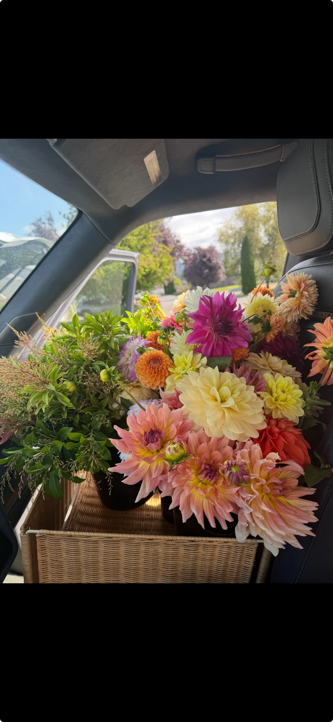 A basket filled with colorful flowers, including pink, yellow, purple, and orange blooms, is inside a vehicle's backseat.