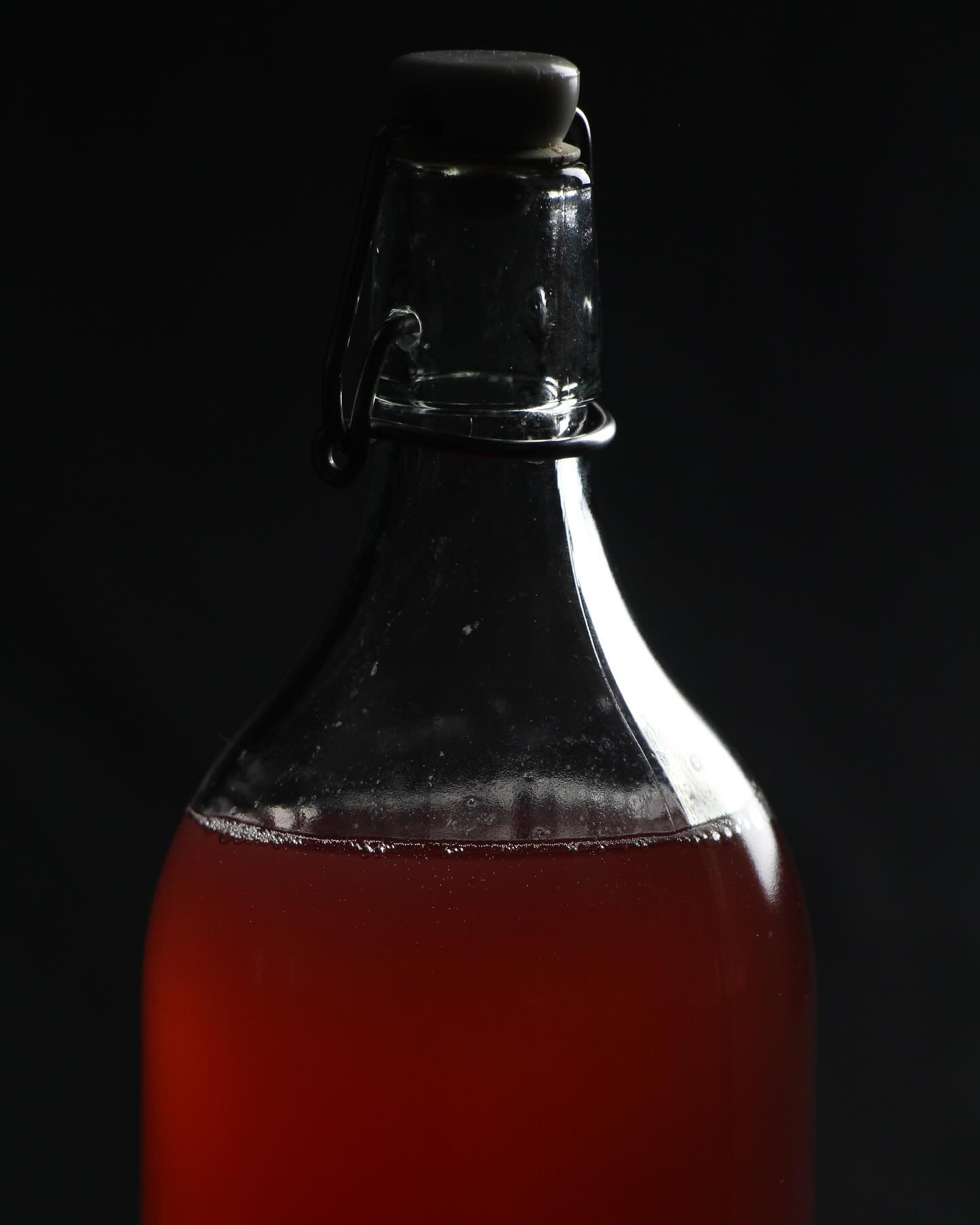 Cornflower Waterkefir eruption @elevenferments 

#waterkefir
#wasserkefir
#elevenferments
#fermentation
#kitchenalchemy