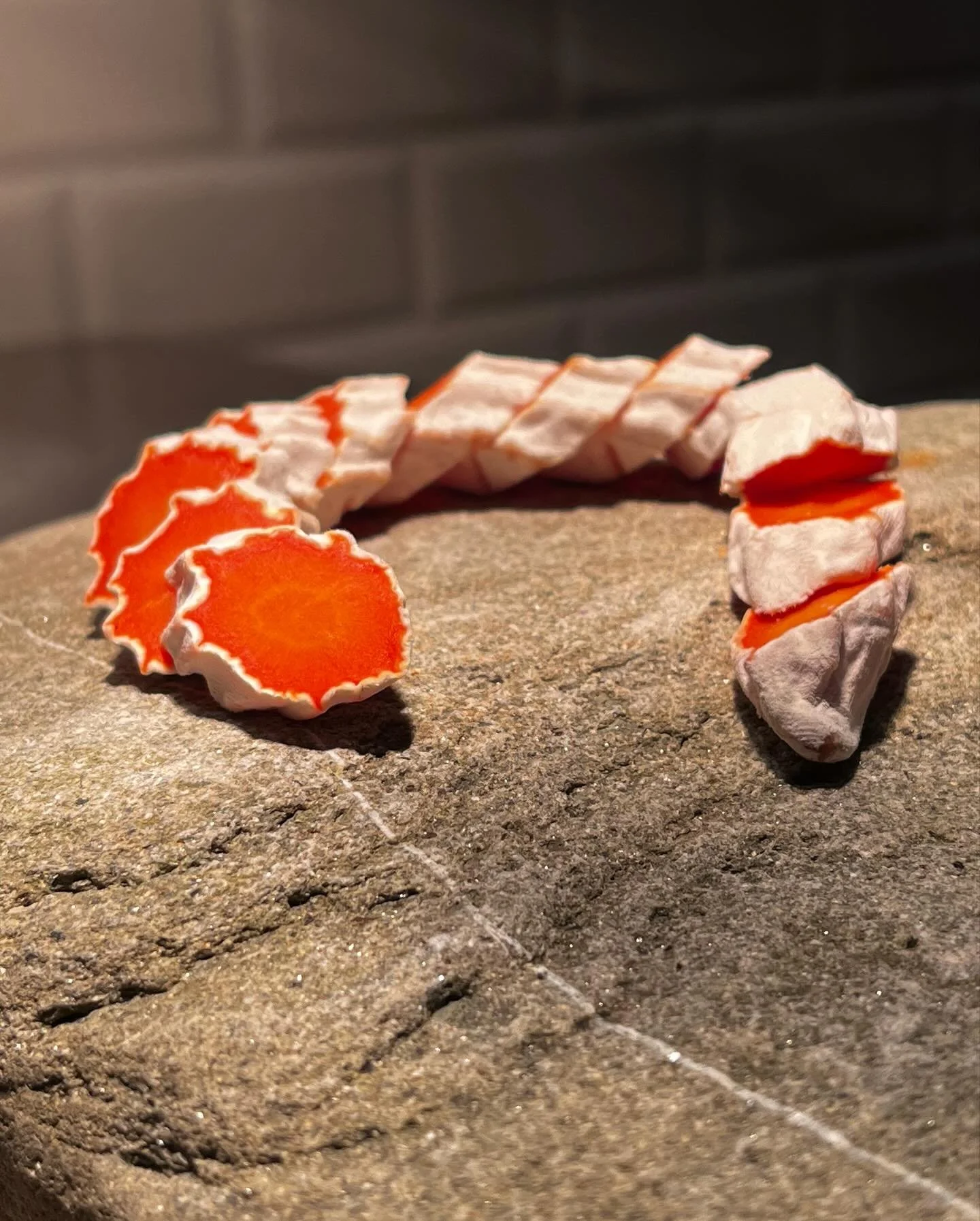 The Koji-Carrot.

Carotts innoculated with the magic mold Aspergillus oryzae, turning litteraly everything in a tasty ride you didn&rsquo;t know is possible, jet :)

Watch out for @elevenferments 

#koji
#kojicharcuterie 
#kojicarrot 
#kojibuildcommu