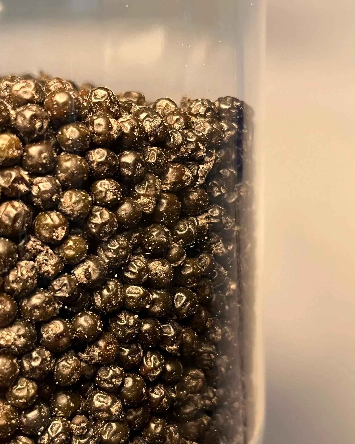 Fermented Pepper
A game changer in the kitchen.

#fermentedpepper