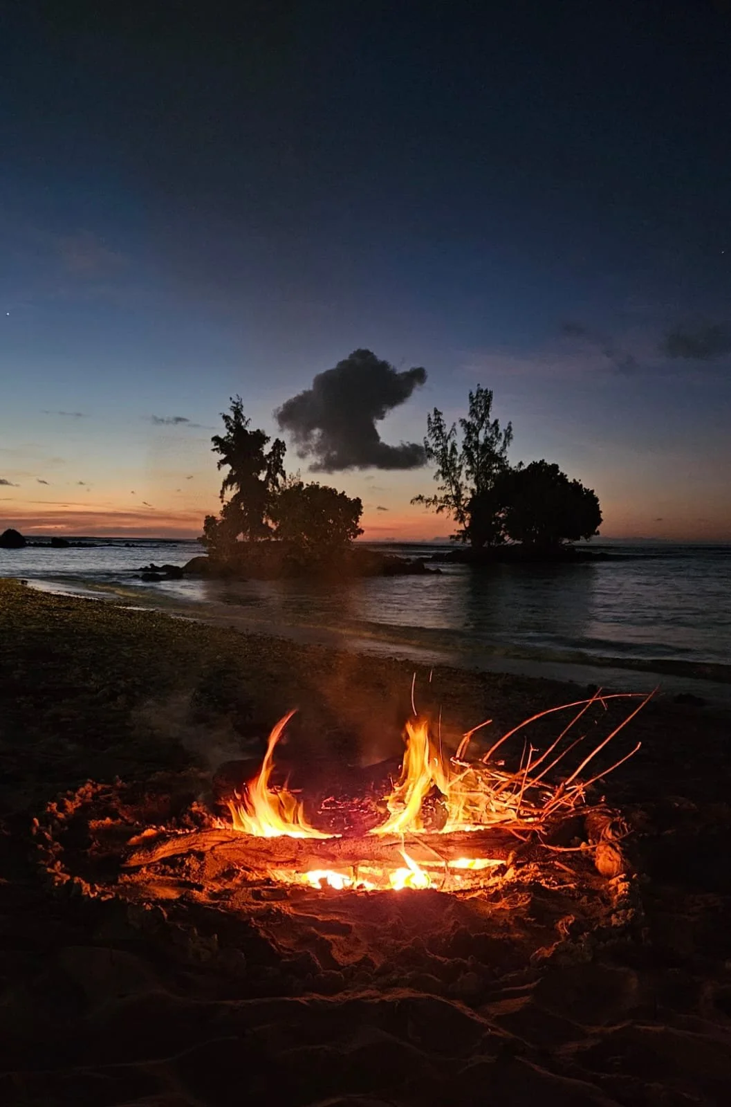 Beach at sunset with trees in water and fire in foreground in Mauritius.