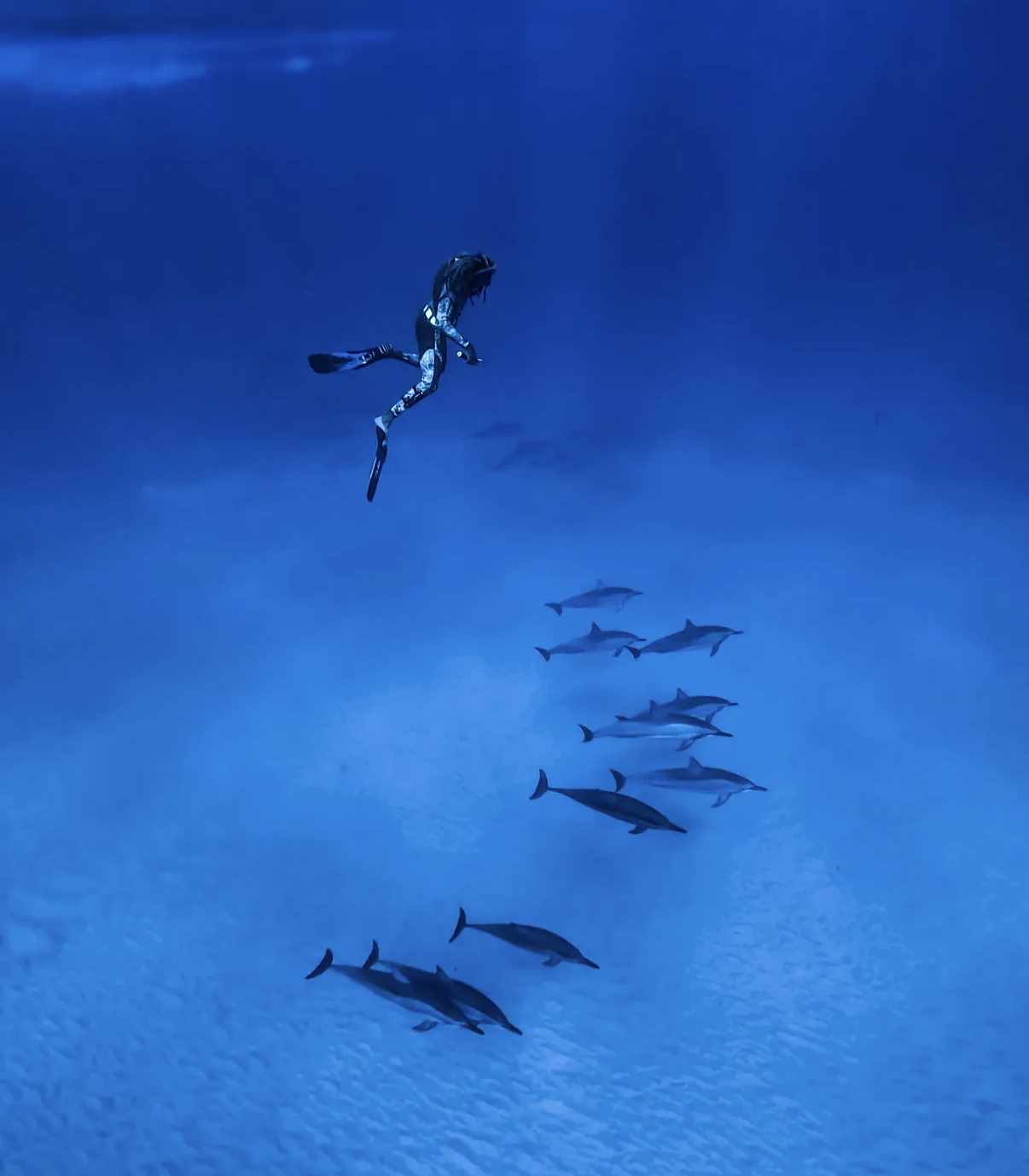A man diving with whales in Mauritius